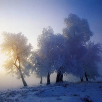微信头像雪景图片