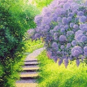 小清新唯美静物风景QQ头像图片