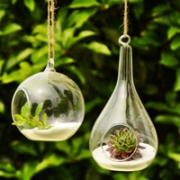 意境小清新瓶子头像图片