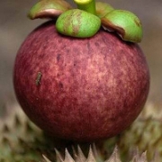 干净清新唯美果蔬qq头像图片