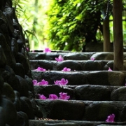 唯美清新个性qq头像图片