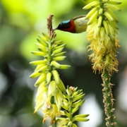 清新春天自然风景唯美qq头像图片