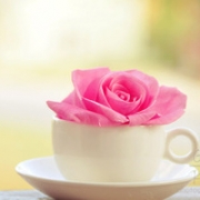 唯美淡雅安静清新头像图片