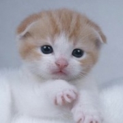 简单干净可爱唯美头像图片