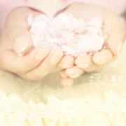 清新干净简约静物唯美头像图片