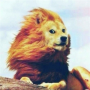 狮身狗头鬼畜头像图片