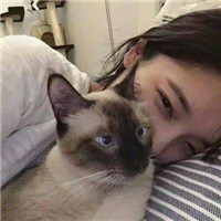 男女抱猫黑白情头图片