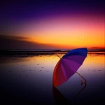 适合做微信头像的清新唯美图片