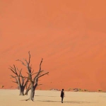 荒凉风景头像图片