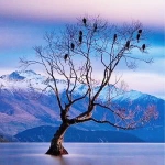 安静孤寂意境风景头像图片