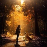 唯美最适合当头像的图片