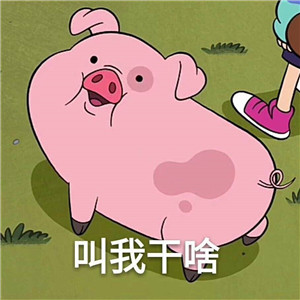 萌猪头像可爱图片