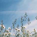 风景头像图片微信高清