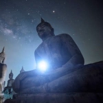 修身养性静心的一花一世界禅意头像图片