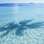 唯美蓝色蔚蓝大海qq头像图片