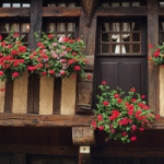 唯美小清新窗口风景头像图片