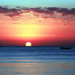 唯美秀丽风景头像图片