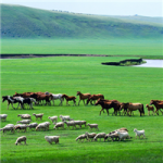 清新草原风景头像图片