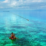 清新海边风景qq头像图片