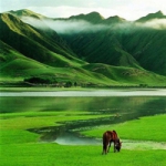 唯美清新自然风景qq头像图片