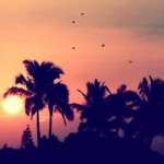 唯美意境小清新风景图片