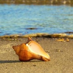 唯美微信海边风景头像图片