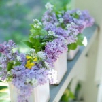 唯美风景花草头像图片