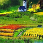 qq唯美风景头像图片