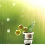 qq头像雨过天晴风景图片