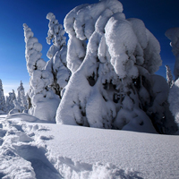 QQ头像雪景图片