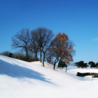 微信头像唯美雪景