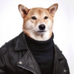 新潮搞怪狗头人身头像图片