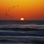 唯美光影QQ头像图片