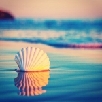 唯美简单耐看头像图片