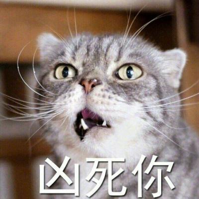 可爱猫咪带字头像图片