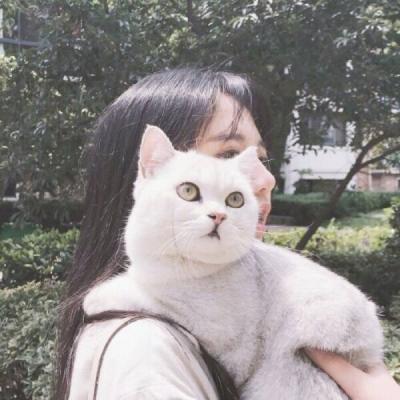 QQ头像猫咪女生