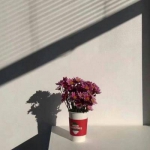 微信头像背景图片高清个性