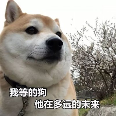 单身狗头像搞笑