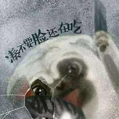 吾皇巴扎黑情头