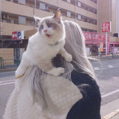 抱猫女头像高清