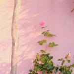 头像图片少女心小清新背景图片