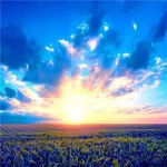 优雅文艺好看高清的唯美意境风景美图头像