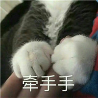 可爱猫带字头像图片