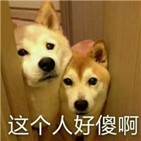 狗狗逗比头像带字