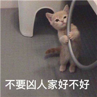 可爱猫带字头像图片