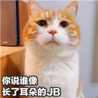 可爱猫带字头像图片