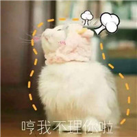 猫咪动物情头大全