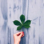 好看的风景微信头像