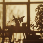 好看独一无二专属微信头像