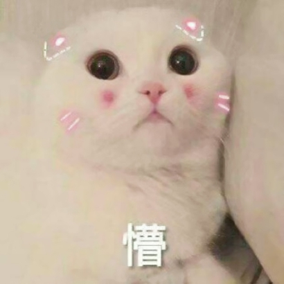 猫猫头像可爱